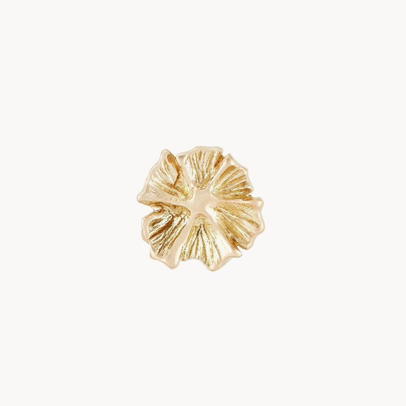 Larger wildflower earring - 14k yellow gold