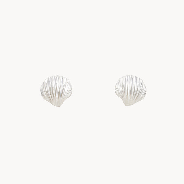 high tide shell earrings - sterling silver