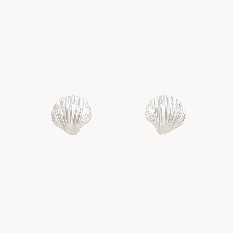 high tide shell earrings - sterling silver