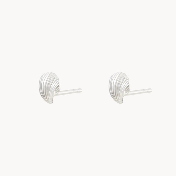 high tide shell earrings - sterling silver