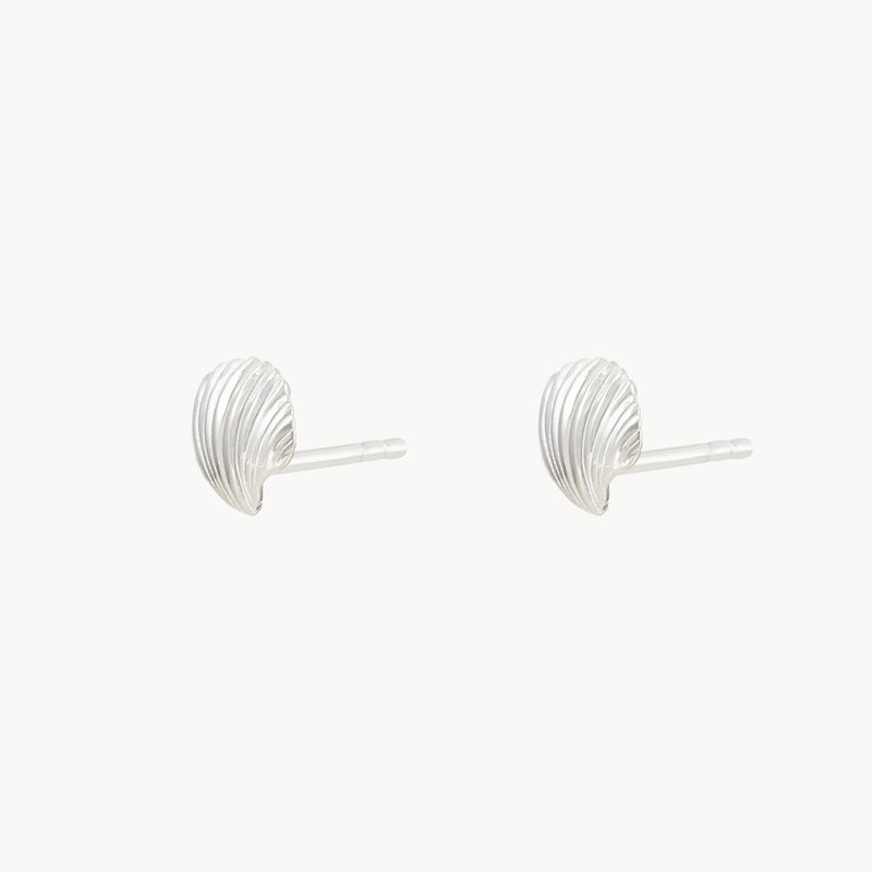 high tide shell earrings - sterling silver