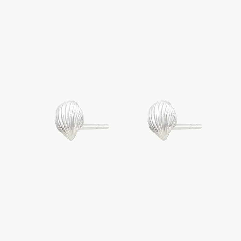 high tide shell earrings - sterling silver