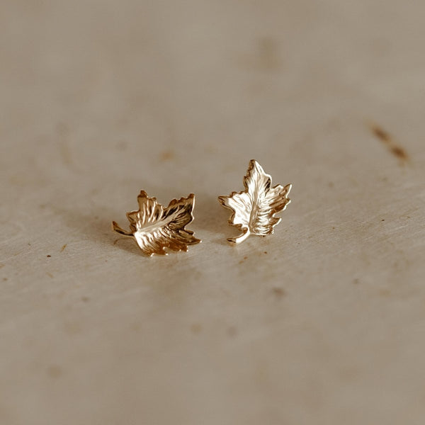 14k yellow gold maple leaf earring off body