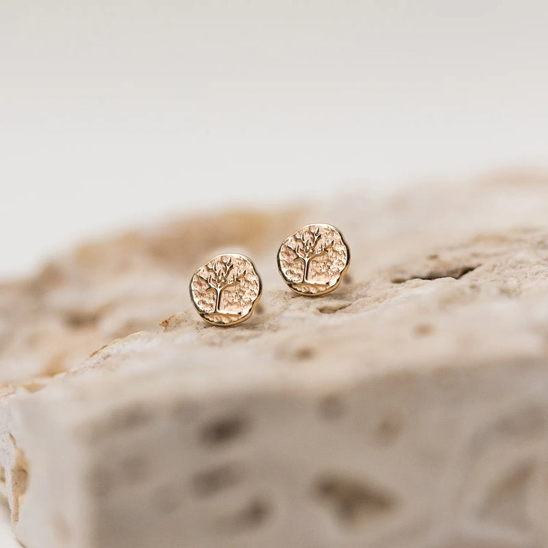 Close-up of two small, round tree of life stud earrings by bluboho lying on a textured stone surface. Crafted from 14k yellow gold, each earring features an intricate tree design etched onto the front. The soft lighting accentuates the warm tones of the gold and the detailed craftsmanship of the tree design.