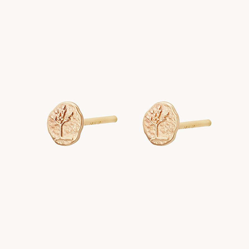 A pair of bluboho's "tree of life stud earrings" in 14k yellow gold, featuring circular, textured discs with an embossed tree design at the center. The earrings have plain gold posts and are displayed on a white background.